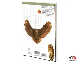 شگفتی های جهان؛ پرندگان شکاری نشر محراب قلم