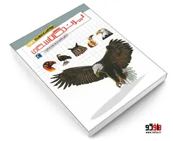 شگفتی های جهان؛ پرندگان شکاری نشر محراب قلم