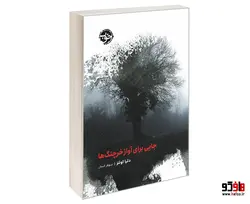 جایی برای آواز خرچنگ ها نشر خوب