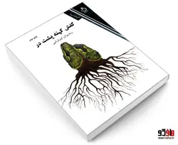 کفش کهنه پشت در نشر نفیر