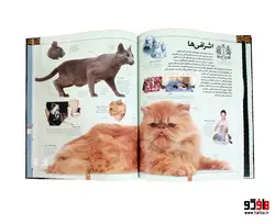 دانشنامه مصور دنیای شگفت انگیز گربه سانان نشر سایان
