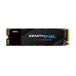 اس اس دی اینترنال گیل مدل Zenith P3L ظرفیت 256 گیگابایت - فروشگاه اینترنتی هاردسرا