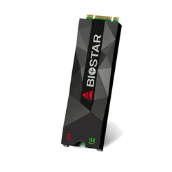 اس اس دی اینترنال بایوستار مدل M500 ظرفیت 512 گیگابایت - فروشگاه اینترنتی هاردسرا