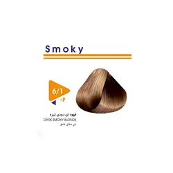 رنگ مو قهوه ای دودی روشن ویتامول شماره 6/1