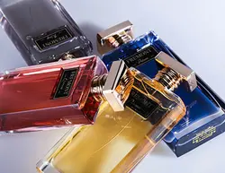 ادکلن زنانه فرمونت مدل Fremont Princess حجم 100 میلی لیتر