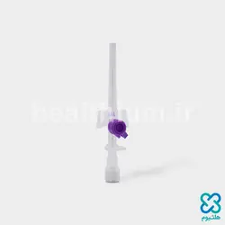 آنژیوکت بنفش هندی