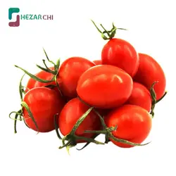گوجه گیلاسی زیتونی
