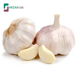 سیر خشک همدان