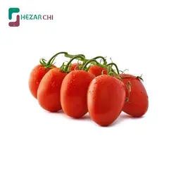 گوجه بوته ای تخم مرغی