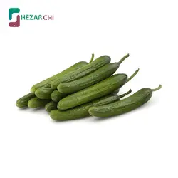 خیار گلخانه ای