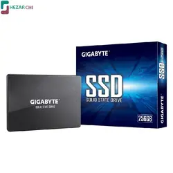 اس اس دی اینترنال GIGABYTE P-GSTFS31256GTND 256G