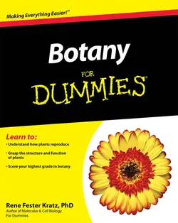 کتاب گیاه شناسی برای آدمک ها Botany For Dummies {Rene Fester Kratz}