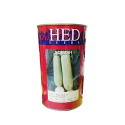 بذر کدو وایت بوش هد وزن 500 گرم