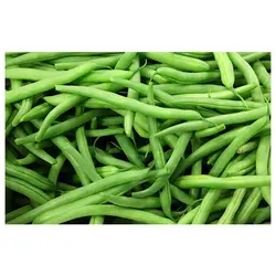 بذر لوبیا سبز سان ری ثمین بذر 1kg