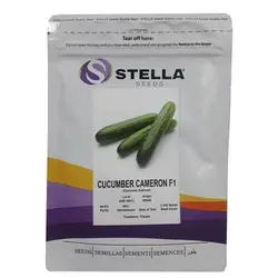 بذر خیار استلا سیدز مدل CAMERON F1 محتوی 2500 بذر