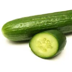 بذر خیار یو اس اگریسیدز مدل KISH F1