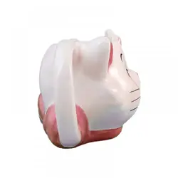 ماگ فانتزی گربه اشرافی - هیچ استور - خرید اینترنتی اکسسوری فانتزی