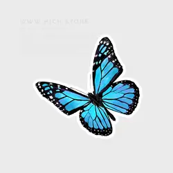 استیکر پروانه آبی - هیچ استور - خرید اینترنتی اکسسوری فانتزی