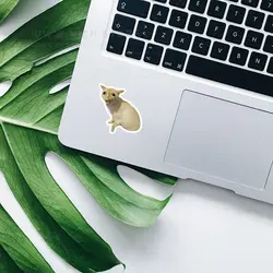 استیکر اوق گربه - هیچ استور - خرید اینترنتی اکسسوری فانتزی