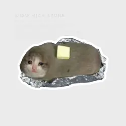 استیکر کباب گربه - هیچ استور - خرید اینترنتی اکسسوری فانتزی