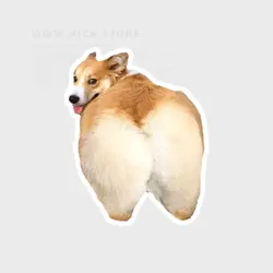 استیکر بوتی داگ - هیچ استور - خرید اینترنتی اکسسوری فانتزی