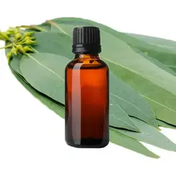 اسانس شمع با رایحه اکالیپتوس