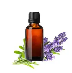 اسانس شمع با رایحه لوندر(اسطوخودوس)