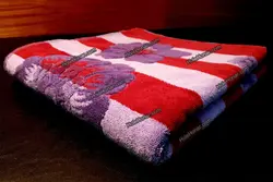 حوله استخری بزرگ هنر طرح گلباران