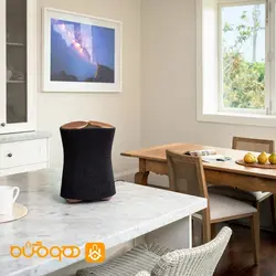 اسپیکر سونی مدل Sony SRS-RA5000