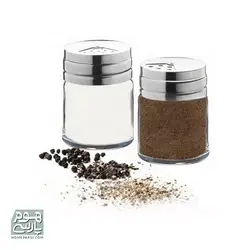 نمک پاش پاشاباغچه کد 43880 بسته 2 عددی