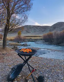 کباب پز ذغالی قابل حمل پارمیس کد 412