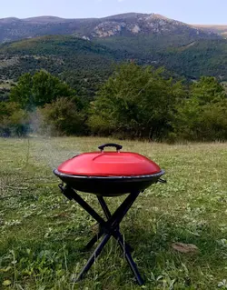 کباب پز ذغالی قابل حمل پارمیس کد 412