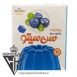 پودر ژله بلوبری SUNSITO سن سیتو - 100 گرمی