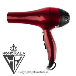 سشوار حرفه ای رکسون مدل HD-D8319 New Edition