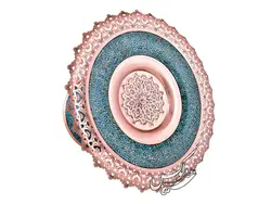 شیرینی خوری فیروزه کوبی شبکه بری سایز 4