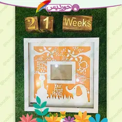 تابلو سونوگرافی
