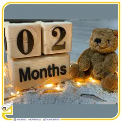 مکعب تاریخ کودک (گاه شمار پک سن ) کد 0110