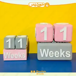 مکعب تاریخ کودک (گاه شمار پک سن ) کد 0110