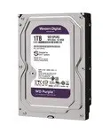 hdd western 1t purple wd10purz