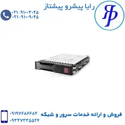 حافظه اس اس دی سرور اچ پی 1.6TB 6G SATA | رایا پیشرو پیشتاز