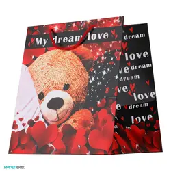 ساک دستی طرح Teddy Love