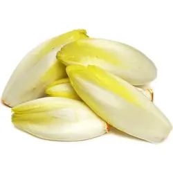 آندیو