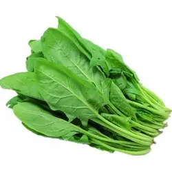 اسفناج