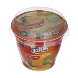 پنیر دیپ چدار کالین مقدار 100 گرم