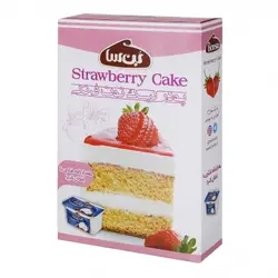 پودر کیک توت فرنگی500 گرمی بن ســا