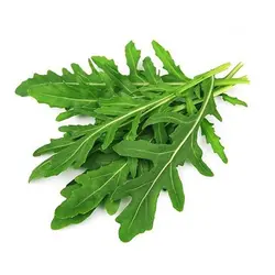 روکولا