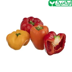 فلفل دلمه ای رنگی ارگانیک رضوانی – 500 گرم