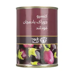 کنسرو خوراک بادمجان فودلند - 380 گرم