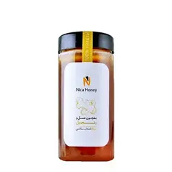 معجون عسل و زنجبیل 540 گرم  نیکا