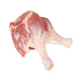 مغز ران بوقلمون